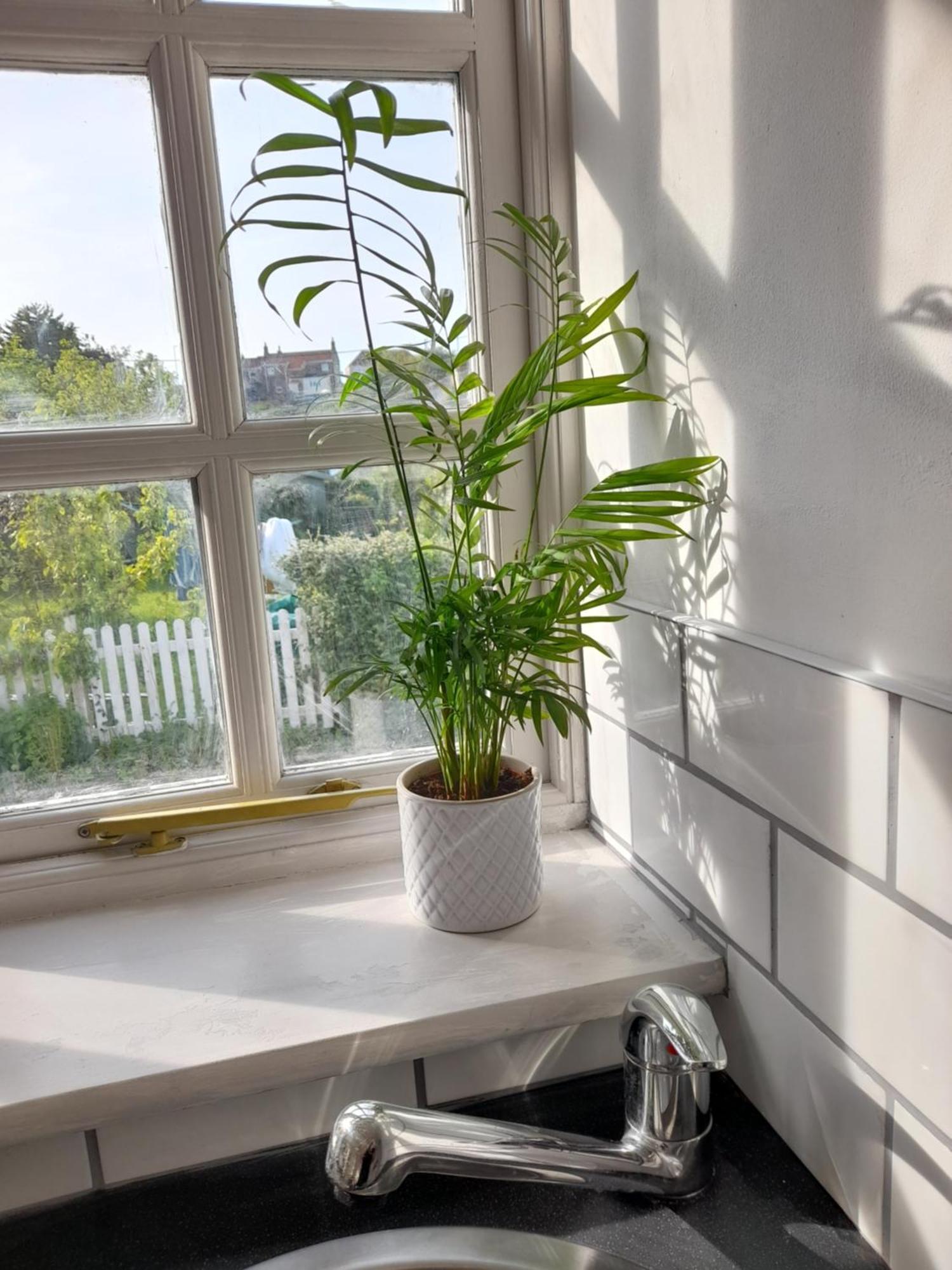 My Little Studio Farmborough Екстериор снимка
